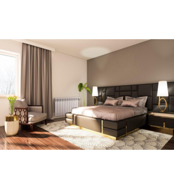 RADIATOR ALUMINIU G500F - 10 ELEMENTI  ARMATURA