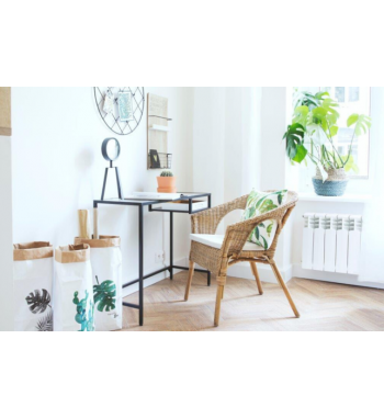 RADIATOR ALUMINIU G350F - 10 ELEMENTI  ARMATURA